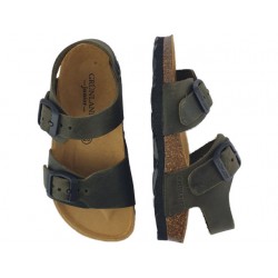 SB1796-40 luce oliva