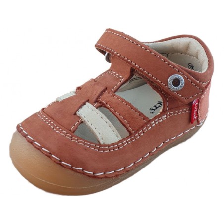 611086-10 sushy camel orange