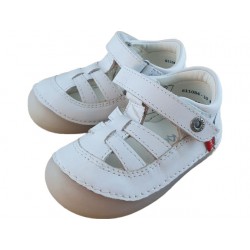 611084-10 sushy blanc