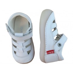 611084-10 sushy blanc