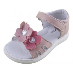 161338 Paris rosa